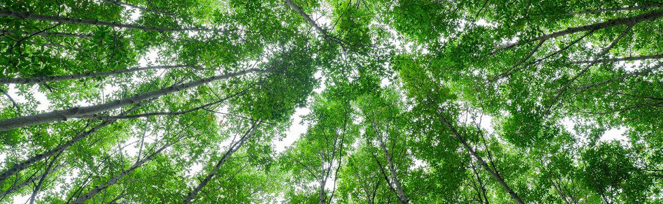 ceranor-sostenibilidad-2